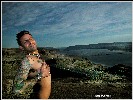 The Hitchhiker